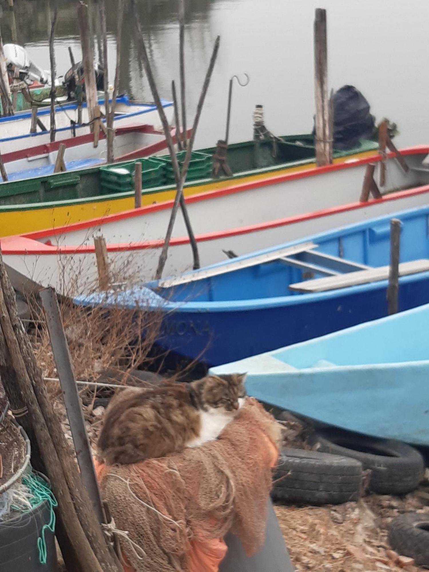 Le Rondini Διαμέρισμα Torricella  Εξωτερικό φωτογραφία